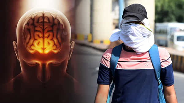 Brain Stroke: హీట్వేవ్తో మెదడు దెబ్బతిని తెలియకుండానే మరణం.. డాక్టర్ సలహా ఏమిటంటే..