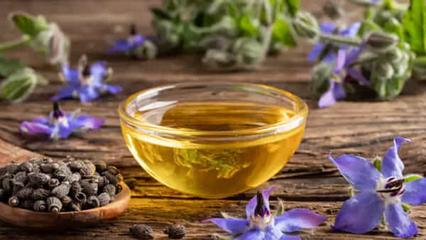 Borage Starflower Benefits: తైవాన్ పర్వతాల్లో సేకరించిన ఈ మూలిక.. జుట్టు సమస్యలకు దివ్యౌషధం!