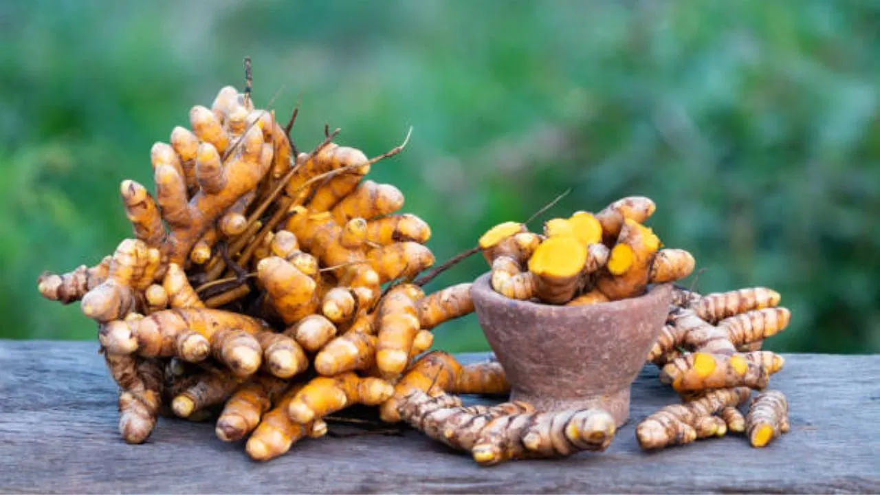 అల్లం, పసుపు కలిపి తింటే రెండు పదార్థాలు శరీరంలోని ఫ్రీ రాడికల్స్తో పోరాడుతాయి. సెల్ డ్యామేజ్ను నివారిస్తాయి. దీర్ఘకాలిక వ్యాధుల ప్రమాదాన్ని కూడా తగ్గిస్తాయి. కీళ్ల నొప్పులు మొదలుకొని ఎలాంటి నొప్పులనైనా తగ్గించడంలో అల్లం, పసుపు ఉపయోగపడతాయి. ఈ రెండు మూలికలు యాంటీ ఇన్ఫ్లమేటరీ లక్షణాలను కలిగి ఉంటాయి. ఇవి శరీరంలో మంటను తగ్గించడంలో సహాయపడతాయి.