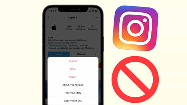 Instagram: ఇన్స్టాగ్రామ్లో మిమ్మల్ని ఎవరైనా బ్లాక్ చేశారని డౌట్గా ఉందా.? ఇలా చెక్ చేసుకోండి..