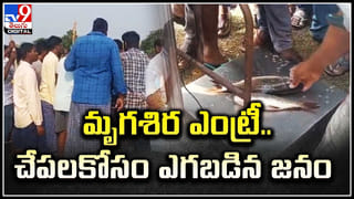 Viral Video: అర్ధరాత్రి రైల్వే గేటువద్ద చిరుత.. దాటాలా.. వద్దా.. అని డౌట్ పడ్డట్టుంది.