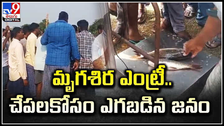 మృగశిర ఎంట్రీ.. చేపలకోసం ఎగబడిన జనం.. ఎందుకనుకుంటున్నారా.? మృగశిర ఎంట్రీ.. చేపలకోసం ఎగబడిన జనం.. ఎందుకనుకుంటున్నారా.?