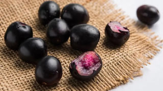 Mango Kalakand: మామిడి పండుతో కలాకండ్.. టేస్ట్ నెక్ట్స్ లెవల్ అంతే..