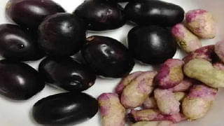 Home Remedies for Cold: వర్షాకాలంలో వచ్చే జలుబు, దగ్గుకు చెక్‌ పెట్టండిలా..! ఈ పొడిని తేనెలో కలుపుకుని తాగితే..