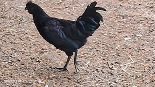 Telangana: యువతకు గుడ్ న్యూస్.. రేవంత్ సర్కార్ కీలక నిర్ణయం..