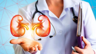 Jackfruit Seeds: పనస గింజలు పడేస్తున్నారా? ఈ విషయం తెలిస్తే భద్రంగా దాచేస్తారు..