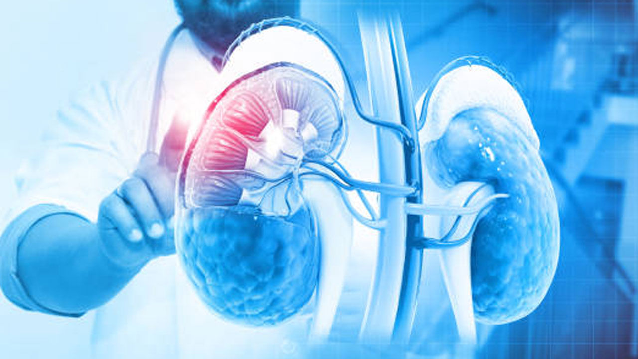 Kidneys Health: మీ కిడ్నీలు షెడ్డుకు వెళ్లకుండా మంచిగా ఉండాలంటే.. ఈ ఐదు పదార్థాలకు దూరంగా ఉండండి..