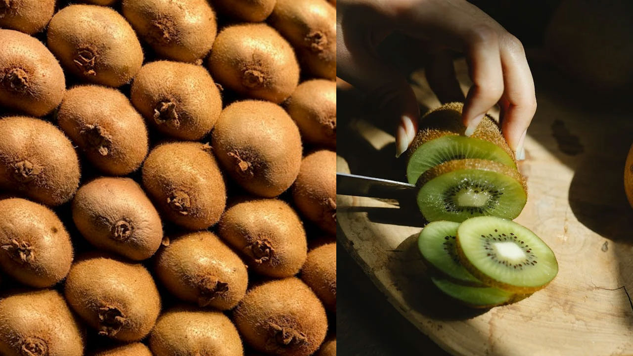 కివి: కివి చాలా పోషకమైన పండు, ఇందులో ఆరోగ్యానికి మేలు చేసే అనేక పోషక మూలకాలు ఉన్నాయి. ఇందులో యాంటీ-ఆక్సిడెంట్లు మరియు మినరల్స్ పుష్కలంగా ఉన్నాయని, ఇది జీర్ణవ్యవస్థను బలంగా ఉంచుతుందని, ఇది కాకుండా రోగనిరోధక శక్తిని పెంచడానికి కూడా పనిచేస్తుంది, ఇది శరీరానికి ఏదైనా వ్యాధితో పోరాడే శక్తిని ఇస్తుంది. 