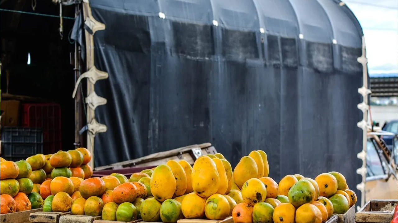 Telangana: పైనుంచి చూస్తే మామిడికాయల లోడే.. లోపల ఏముందో చూసి బిత్తరపోయిన పోలీసులు