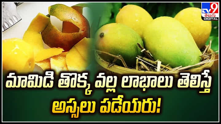 Mango Peel: మామిడి తొక్క వల్ల లాభాలు తెలిస్తే అస్సలు పడేయరు..! Mango Peel: మామిడి తొక్క వల్ల లాభాలు తెలిస్తే అస్సలు పడేయరు..!