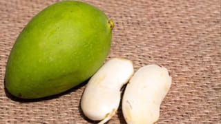 Raw Garlic Side Effects: పచ్చి వెల్లుల్లి మంచిది కదా అని తిన్నారంటే చిక్కుల్లో పడటం ఖాయం.. వీరు అస్సలు ముట్టుకోకూడదు