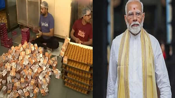 మోడీ విజయాన్ని పురస్కరించుకుని ముందే సెలబ్రేషన్స్కి రెడీ అవుతున్న ఫ్యాన్స్.. బాణసంచా, 10 వేల లడ్డూలు సిద్ధం