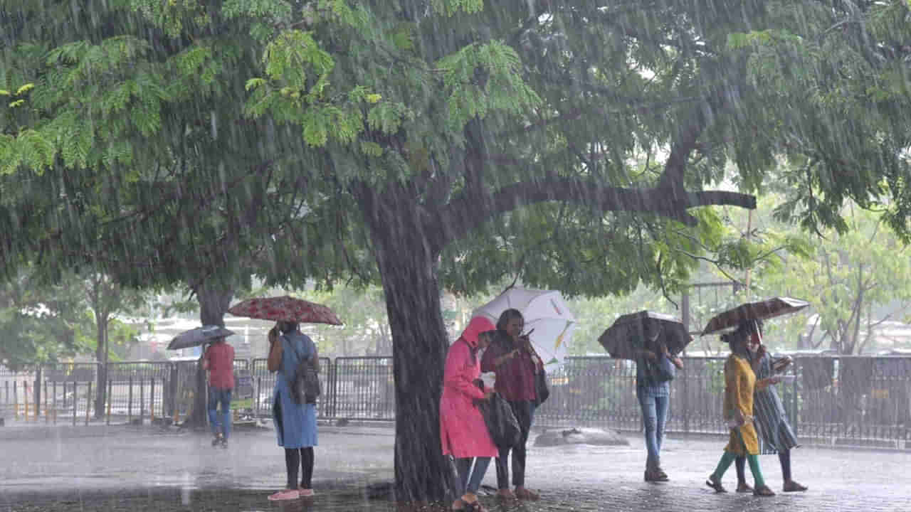 Monsoon: తెలుగు రాష్ట్రాలకు చల్లటి కబురు .. 5 రోజుల పాటు మోస్తరు నుంచి భారీ వర్షాలు కురిసే అవకాశం