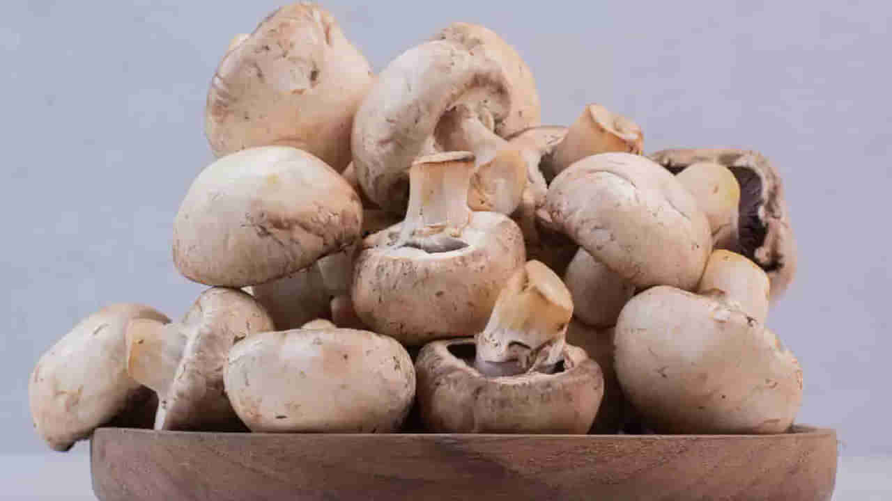 Mushroom for Diabetes: షుగర్ ఉన్నవాళ్లు పుట్టగొడుగులు తినవచ్చా.. తింటే ఏం జరుగుతుంది?