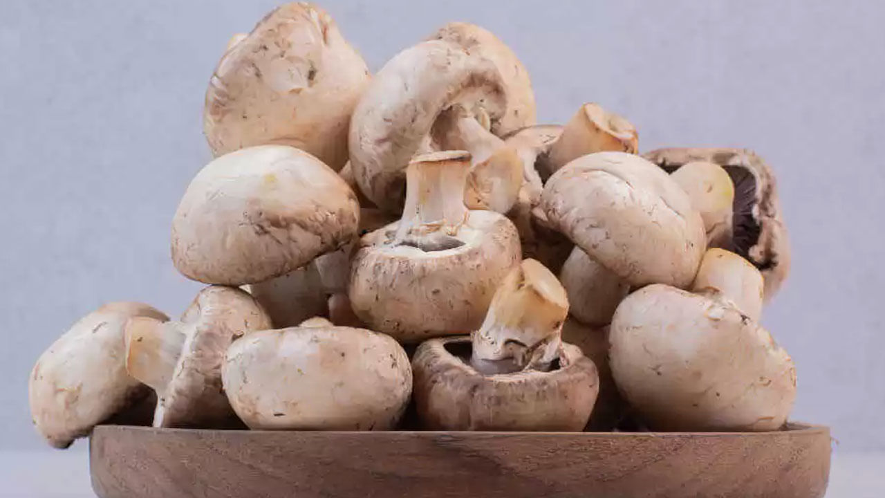 Mushroom for Diabetes: షుగర్ ఉన్నవాళ్లు పుట్టగొడుగులు తినవచ్చా.. తింటే ఏం జరుగుతుంది?