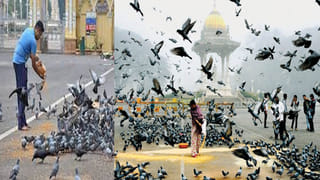 Delhi Airport: ఢిల్లీలో భారీ వర్షాలు.. ఎయిర్‌పోర్టులో కూలిన టెర్మినల్‌ పైకప్పు.. ఒకరు మృతి, 8 మందికి గాయాలు