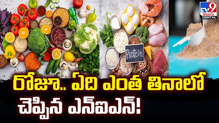 రోజూ.. ఏది ఎంత తినాలో చెప్పిన ఎన్ఐఎన్.. నెట్టింట వైరల్ అవుతున్న వీడియో రోజూ.. ఏది ఎంత తినాలో చెప్పిన ఎన్ఐఎన్.. నెట్టింట వైరల్ అవుతున్న వీడియో