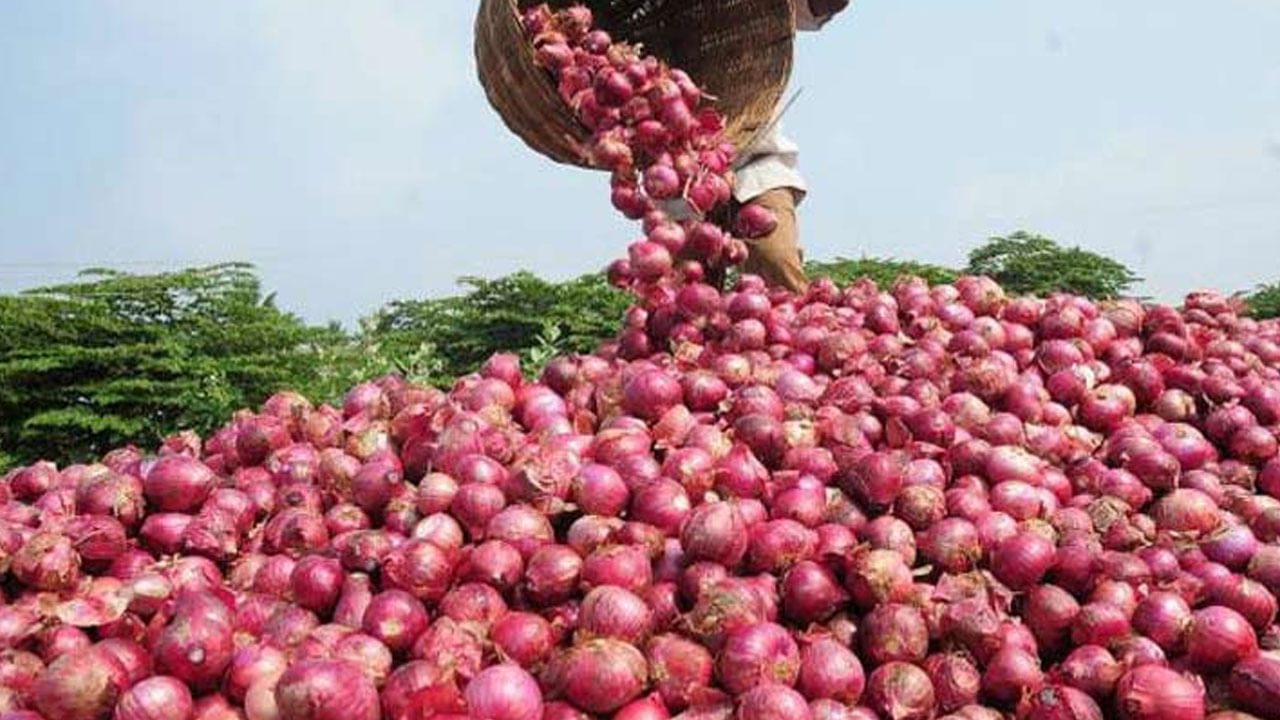 Onion Price: కొనకుండానే కన్నీళ్లు పెట్టిస్తున్న ఉల్లి ధరలు.. అప్పటి వరకు పరిస్థితి ఇంతే..