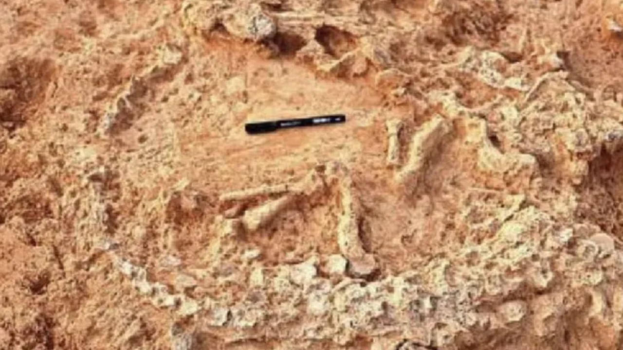 Prakasam district: ఆశ్చర్యం కలిగించే ఘటన.. ప్రకాశం జిల్లాలో అరుదైన ఆవిష్కరణ