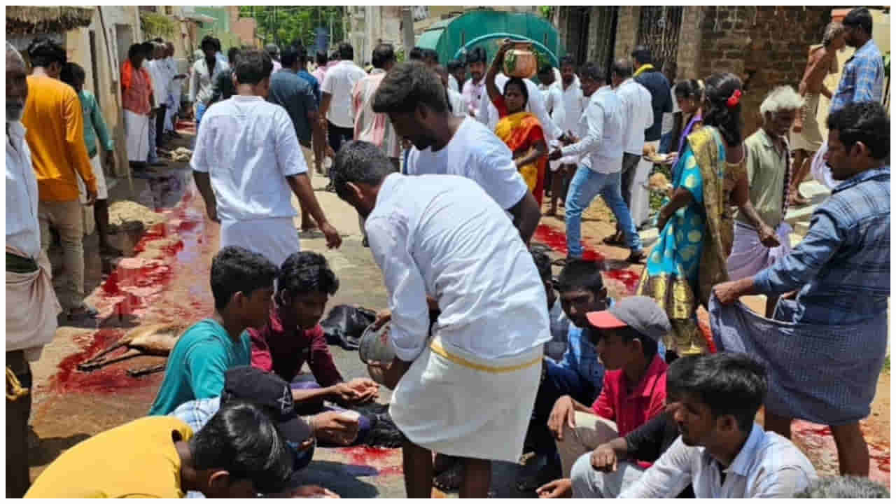 AP News: గంగమ్మ జాతరలో అపశృతి.. ఆస్పత్రిలో చేరిన 100 మందిపైగా భక్తులు