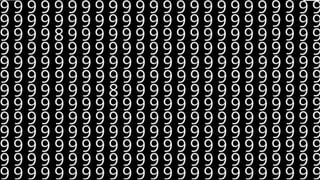 Viral Video: ఓరి నాయనో.. తొండలు ఏంది ఇలా ఫైట్ చేస్తున్నాయి.. చూస్తే షాకే..!