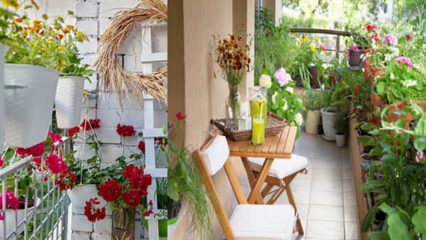Vastu Tips: ఏ దిశలో బాల్కనీ ఉంటే ఏ మొక్కలను పెంచుకోవడం శుభప్రదం అంటే..