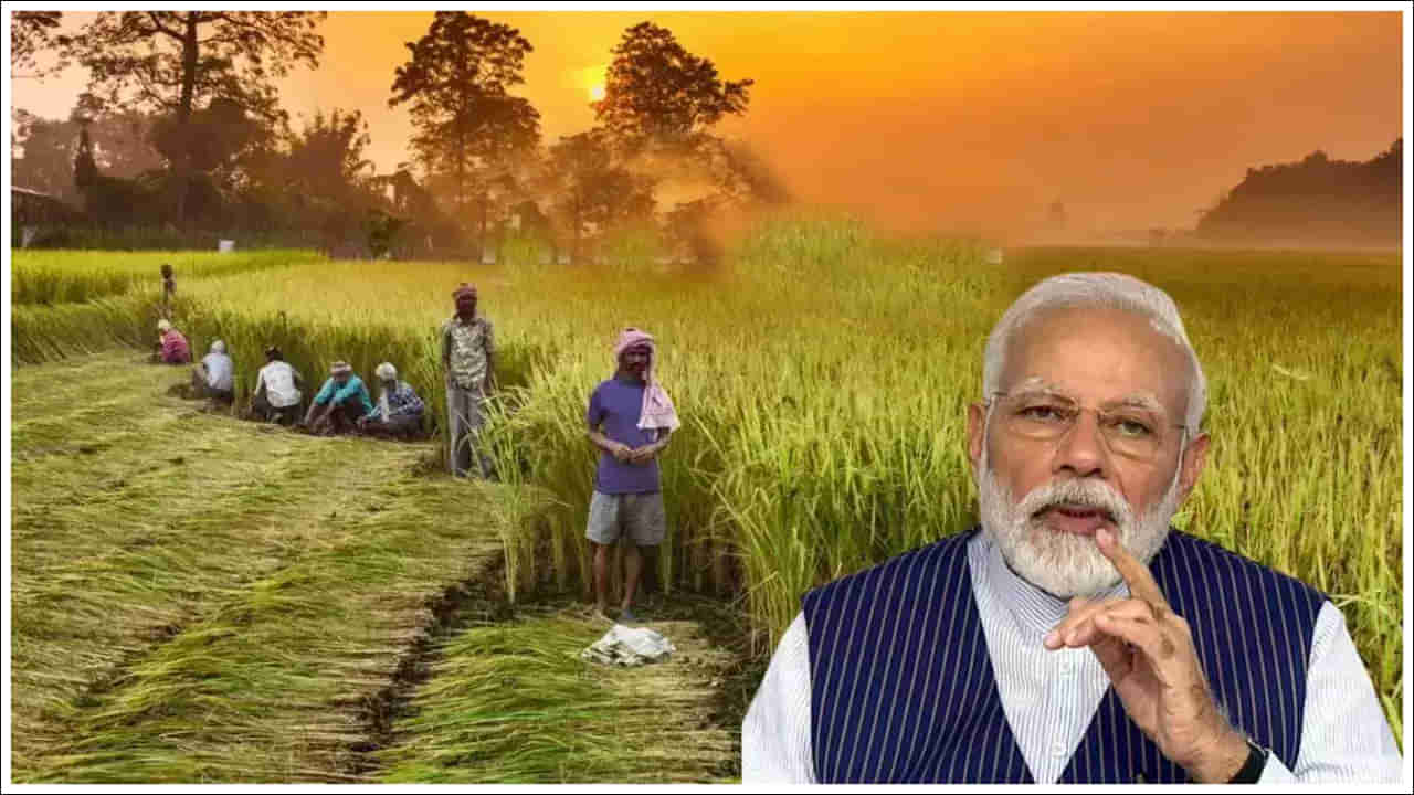 PM Kisan: రైతులకు గుడ్‌న్యూస్‌.. పీఎం కిసాన్‌ డబ్బులు వచ్చేది అప్పుడే.. తేదీ ఖరారు!