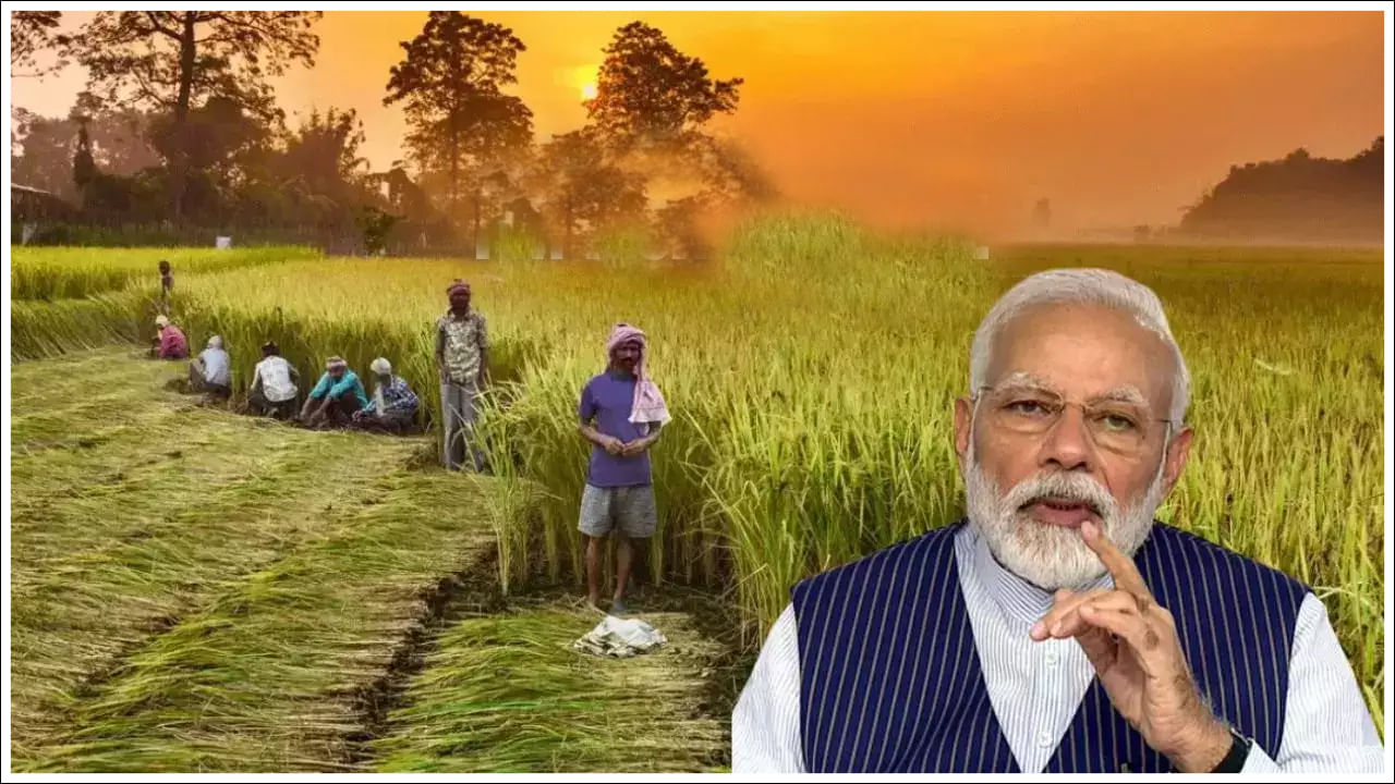 PM Kisan: రైతులకు గుడ్‌న్యూస్‌.. పీఎం కిసాన్‌ డబ్బులు వచ్చేది అప్పుడే.. తేదీ ఖరారు!