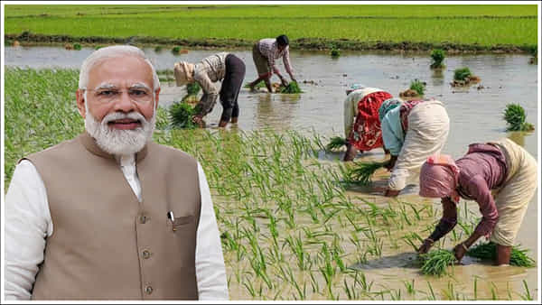 Budget 2024: రాబోయే బడ్జెట్లో మోడీ సర్కార్ శుభవార్త.. రైతుల ఖాతాల్లో రూ.8 వేలు?