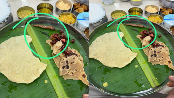 Tirupati: ఛీ.. యాక్! భోజనంలో బాగా వేయించిన విషపు జెర్రి.. తిరుపతిలో ఓ హోటల్ నిర్వాకం! వీడియో