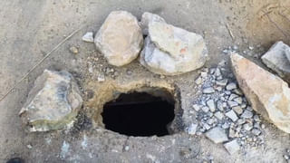 Watch Video: ఘనంగా వన దేవతల జాతర.. అక్కడ ఆ ఘట్టమే కీలకం..