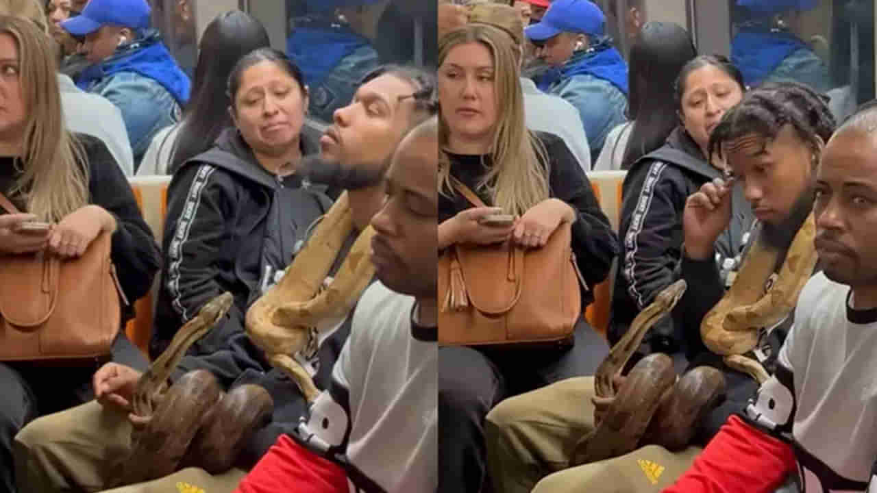 Watch: వీడెవడండీ బాబు.. రెండు భారీ కొండచిలువలతో కలిసి మెట్రో ఎక్కాడు.. ఆ తర్వాత జరిగిన సీన్‌ చూడాల్సిందే..!