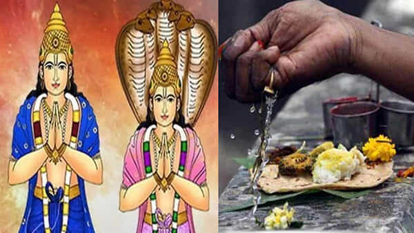 Rahu Dosham: పితృ, రాహు దోషాల నివారణకు ఈ రెమిడిస్ పాటించండి.. జీవితంలో సమస్యలు తొలగుతాయి