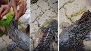 Electric Spoon: అద్భుతం చేసిన శాస్త్రవేత్తలు.. ఆహారానికి ఉప్పుని, రుచిని ఇచ్చే స్పూన్ సృష్టి.. ధర తెలిస్తే షాక్..