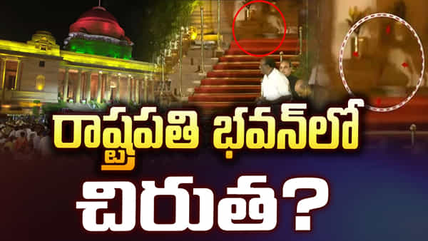 Rashtrapati Bhavan: రాష్ట్రపతి భవన్లో అనుమానాస్పద జంతువు.. చిరుత..?