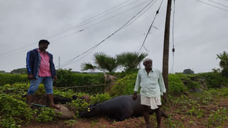 బకెట్లు, బిందెలతో బయటకు వచ్చిన గ్రామస్థులు.. ఎందుకో తెలుసా..!