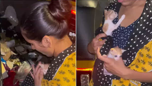 రాత్రివేళ వీధి కుక్కలకు ఆహారం పెడుతున్న మహిళ.. చెత్త కుప్పలోంచి వింత శబ్ధాలు.. ఏంటా అని చూడగా..!