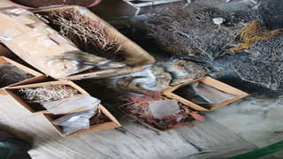 NTR District: ఆ ఊర్లో 9వ తరగతి అమ్మాయి.. ఈ ఊర్లో 9వ తరగతి అబ్బాయి మిస్సింగ్.. కట్ చేస్తే..