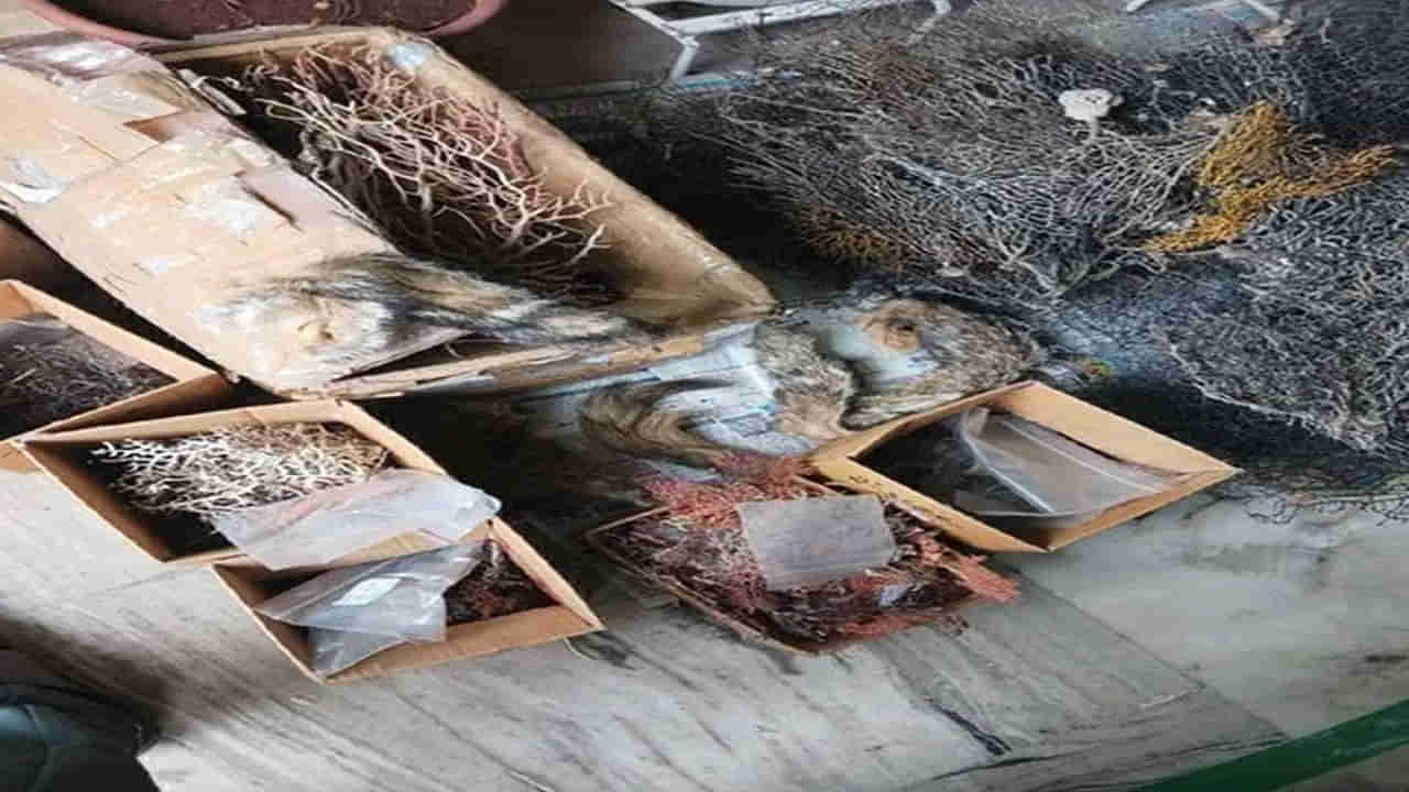 Vijayawada: మీకు పిల్లలు పుట్టడం లేదా.. ఇవి ఇంట్లో ఉంటే చాలు.. ఆ తర్వాత