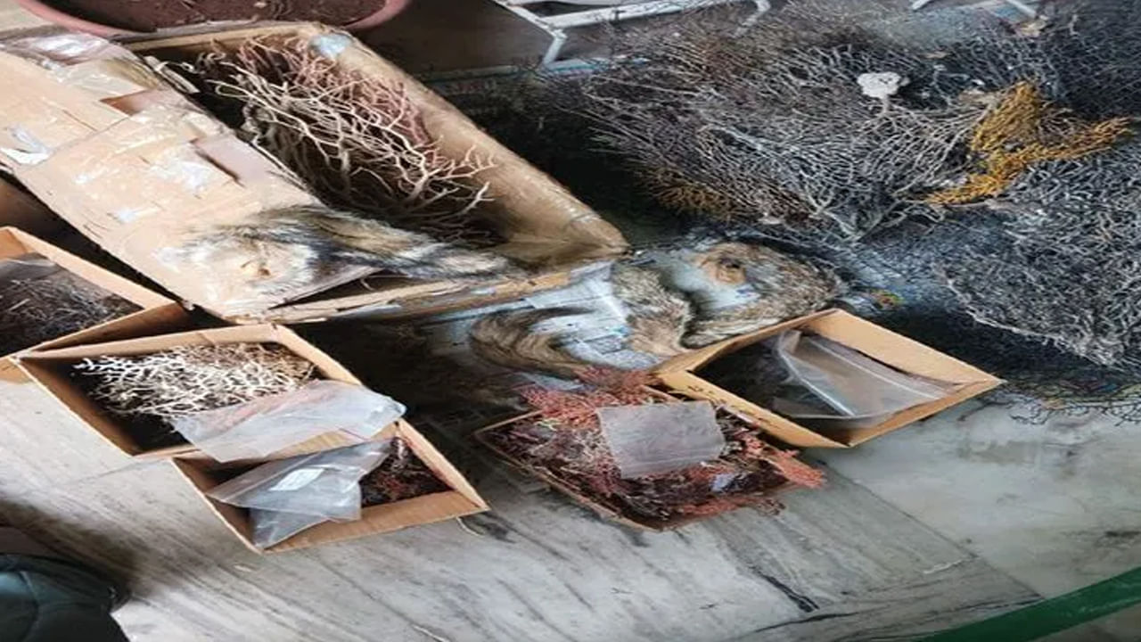 Vijayawada: 'మీకు పిల్లలు పుట్టడం లేదా.. ఇవి ఇంట్లో ఉంటే చాలు'.. ఆ తర్వాత