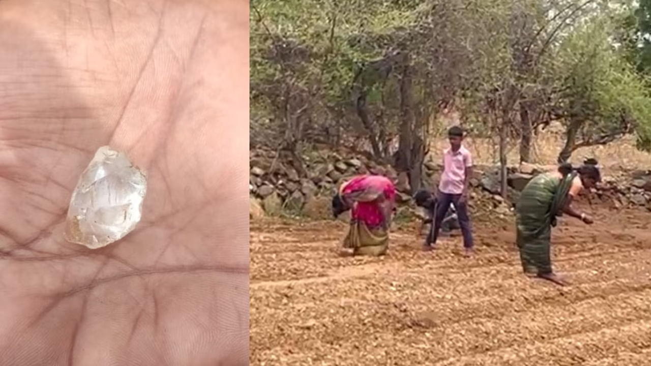 Andhra Pradesh: దొరికితే లైఫ్ సెటిల్ అంతే.. తొలకరి జల్లులతో వజ్రాల వేట షురూ.. ఎక్కడంటే..?