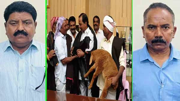 Sheep scheme Scam: గొర్రెల స్కీంలో భారీ స్కాం.. రూ.700కోట్లు ప్రైవేట్ వ్యక్తుల ఖాతాల్లోకి మళ్లింపు..!