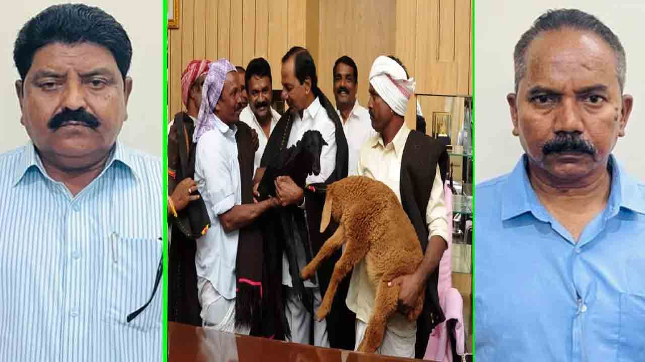 Sheep scheme Scam: గొర్రెల స్కీంలో భారీ స్కాం.. రూ.700కోట్లు ప్రైవేట్‌ వ్యక్తుల ఖాతాల్లోకి మళ్లింపు..!