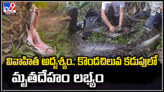 Lemon Grass: లెమన్‌ గ్రాస్‌తో అదిరిపోయే ఆరోగ్య ప్రయోజనాలు.. తెలిస్తే వదిలిపెట్టారు..