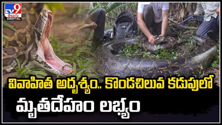Woman in Python: పెళ్ళైన మహిళా అదృశ్యం.. కొండచిలువ కడుపులో మృతదేహం లభ్యం. Woman in Python: పెళ్ళైన మహిళా అదృశ్యం.. కొండచిలువ కడుపులో మృతదేహం లభ్యం.