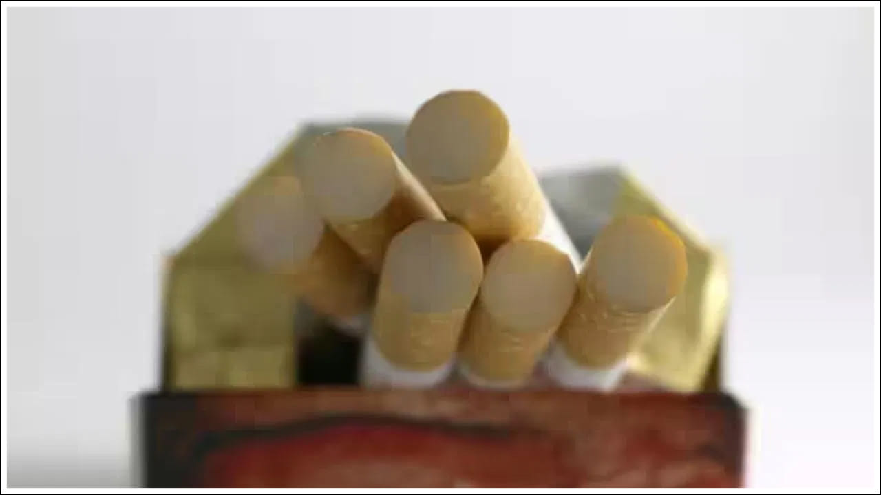 వేసవిలో ధూమపానం 'శీతలీకరణ ప్రక్రియ'ను దెబ్బతీస్తుంది. శరీరం వేడిని విడుదల చేయదు. ఇది గుండె, మెదడు, ఊపిరితిత్తులు, మూత్రపిండాలను ప్రభావితం చేస్తుంది. ఎందుకంటే ఏసీ రూమ్ మూసి ఉంచుతాము. అందుకే పొగలు కూడా గదిలోనే ఉంటాయి. దీని వల్ల ఏసీలో ఉండే వారికి చాలా ప్రమాదకరమని చెబుతున్నారు నిపుణులు.