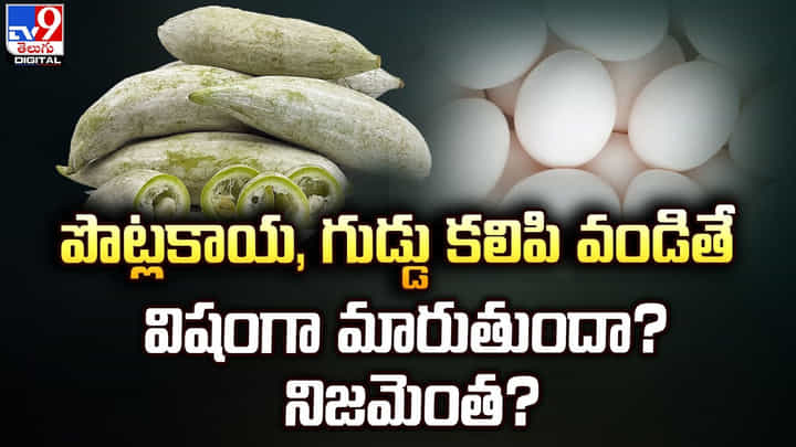 పొట్లకాయ, గుడ్డు కలిపి వండితే విషంగా మారుతుందా ?? నిజమెంత ?? పొట్లకాయ, గుడ్డు కలిపి వండితే విషంగా మారుతుందా ?? నిజమెంత ??