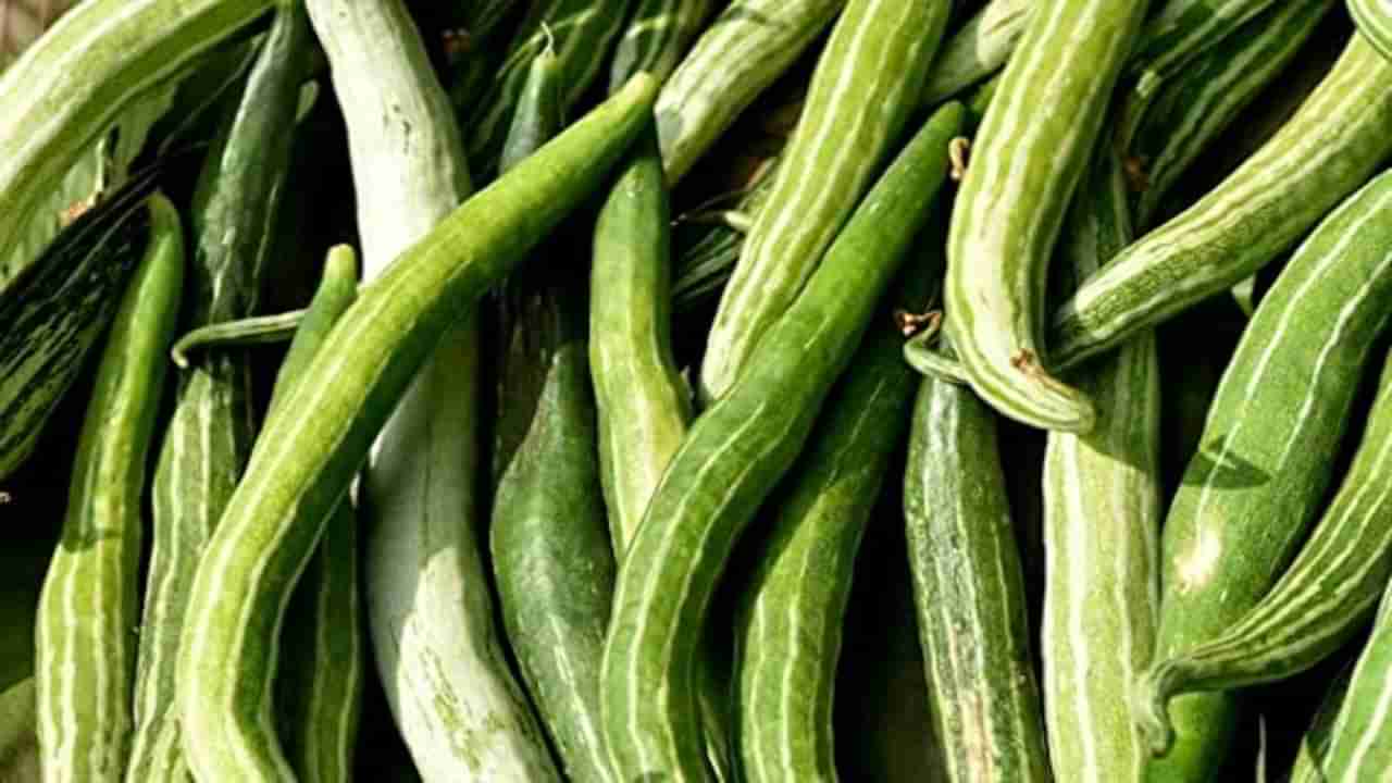 Snake Gourd: డిప్రెషన్ దరి చేరకుండా ఉండాలా.. అయితే ఈ కూరగాయ తినండి..