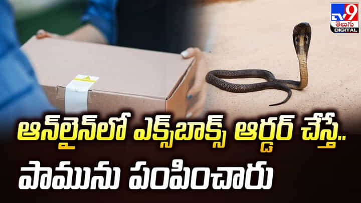 ఆన్లైన్లో ఎక్స్బాక్స్ ఆర్డర్.. పార్సిల్ ఓపెన్ చేయగా ఒక్కసారిగా పైకి లేచిన పాము ఆన్లైన్లో ఎక్స్బాక్స్ ఆర్డర్.. పార్సిల్ ఓపెన్ చేయగా ఒక్కసారిగా పైకి లేచిన పాము
