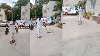 దొంగతనంలో వీరి రూటే సపరేటు.. వాటిని కూడా వదలని దుండగులు..